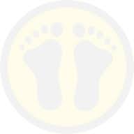 Barefoot Yacht Charters logo